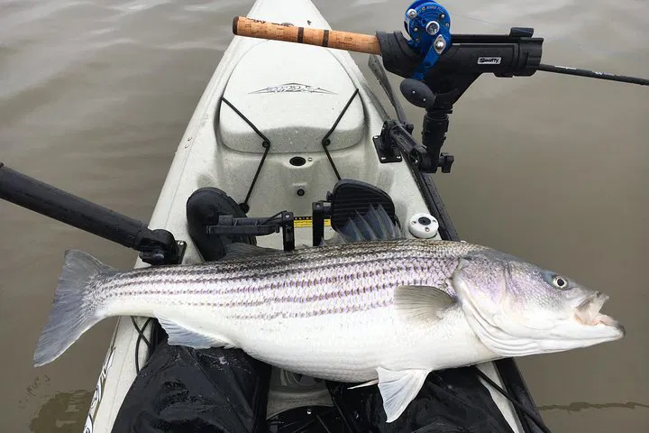 NYC Kayak Fishing Adventure: Reel in the Big Apple!