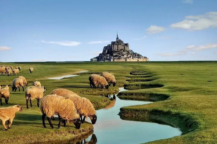 Normandy Gems: Mont-Saint-Michel & Rouen Private Day Trip