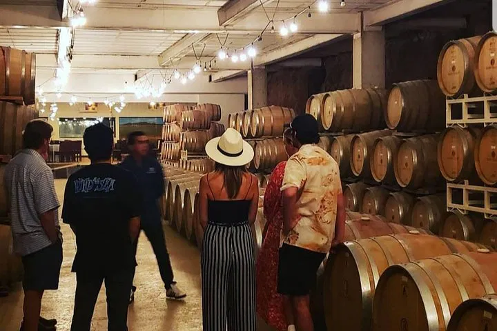 Unforgettable Wine Route: Private Guadalupe Valley Tasting Tour