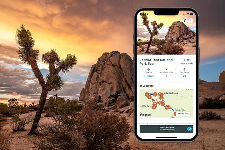 Explore Joshua Tree: An Audio-Guided Driving Adventure