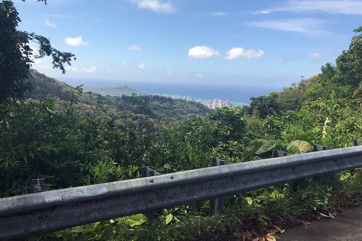 Honolulu Hiking: Choose Your Private Trail Adventure