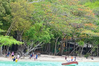 Image 3