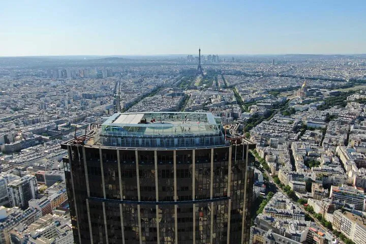 Paris Icons: Montparnasse Tower & Louvre Combo - See Art & City Views!