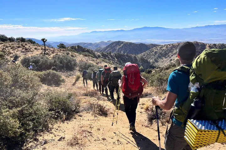 Joshua Tree Escape: A 36-Hour Desert Immersion