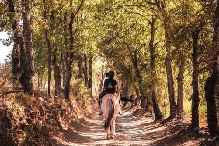 Grimaud Vineyards: Horseback Ride & Wine Tasting Adventure