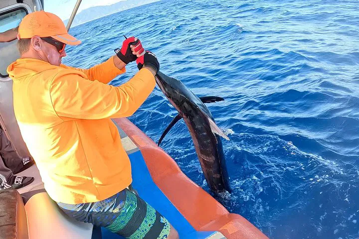 Oahu's Ultimate Marine Adventure: Whale Watching & Fishing Charters!