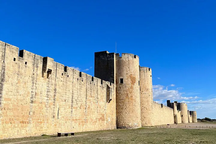 Camargue & Aigues Mortes: Half-Day Small Group Tour
