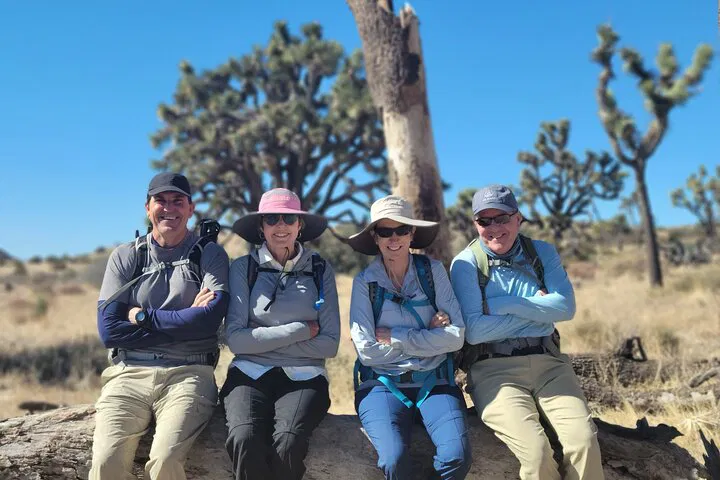 Explore Joshua Tree with a Desert Expert: Full Day Hiking Adventure