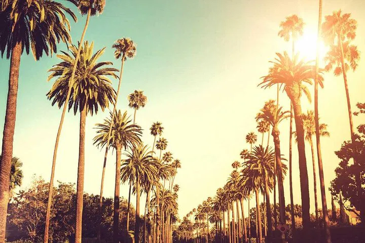 Ultimate LA Adventure: Uncover Hollywood's Hidden Gems and Coastal Wonders!