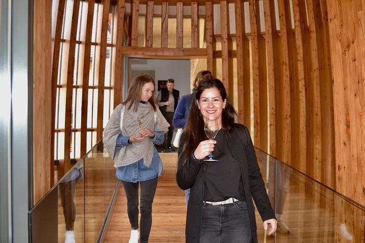 Champagne Dreams: A Luxurious Wine Tour from Paris