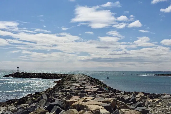 Coastal Delights & Pilgrim Tales: A Boston Private Day Trip