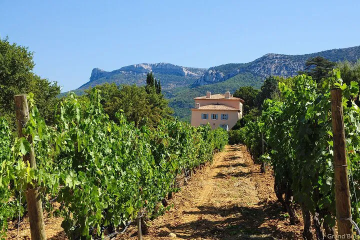 Provence Wine Tour: Taste Exceptional Wines in 2 Days