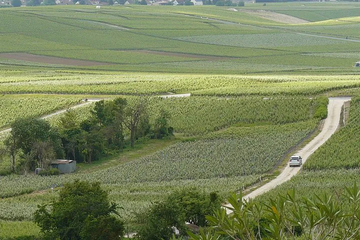 Indulge in Luxury: Custom Champagne Tours - A Romantic Escape