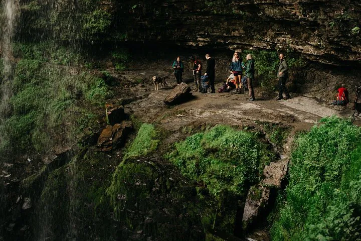 Uncover Welsh Wonders: A Foraging Hike to Batman's Waterfall