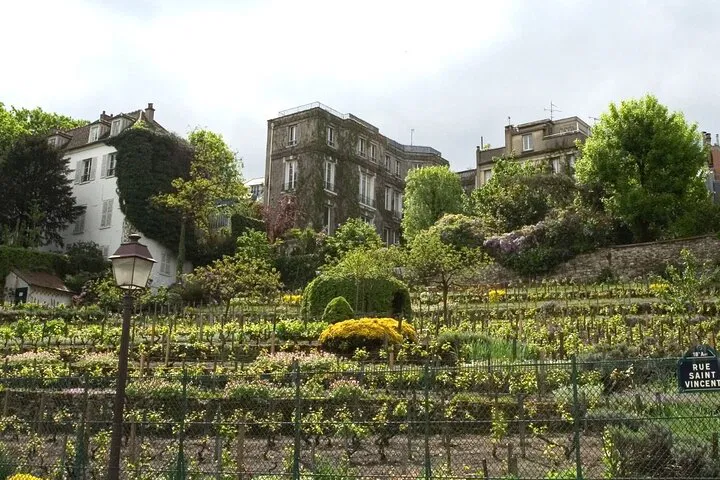 Uncork Montmartre: A Parisian Wine & History Adventure