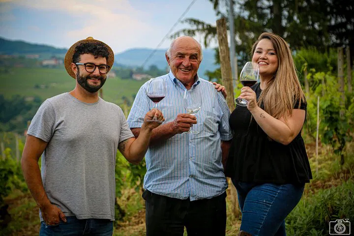 Tojo Sensory Wine Tour: Taste Alba's Hills