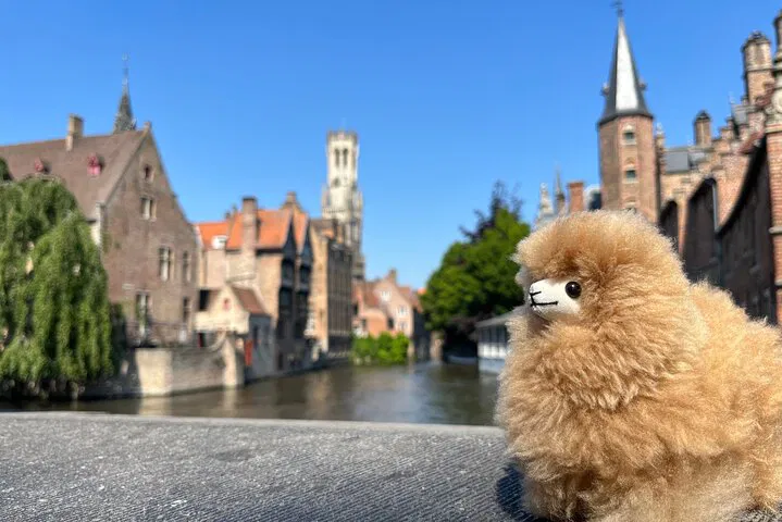 Bruges & Ghent Tour: Taste Belgium from Paris!
