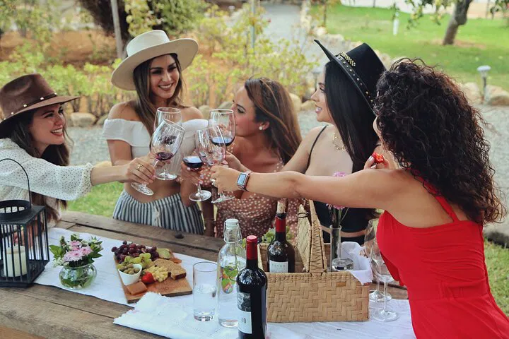 Ensenada Wine & Cheese Garden Delight: A Sensory Journey
