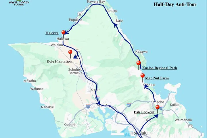 Oahu North Shore: Private Anti-Tour to Haleiwa & Dole!
