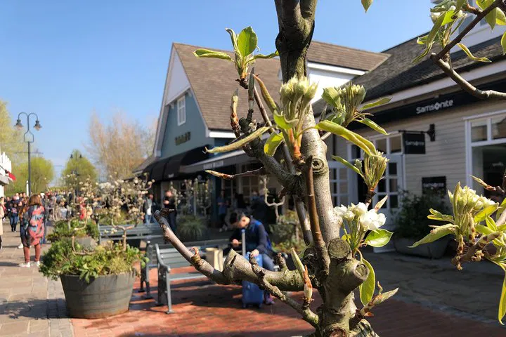 Luxury Shopping Spree: Private Guided Bicester Village Experience