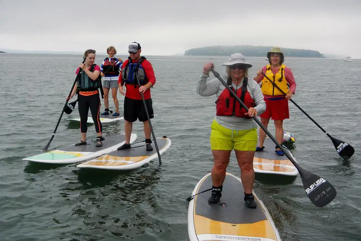 Paddle & Plate: Casco Bay Oyster & SUP Adventure!