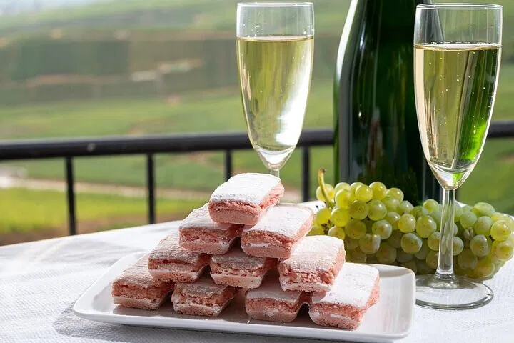 Luxury Private Transfer: Paris to Reims & Champagne Region