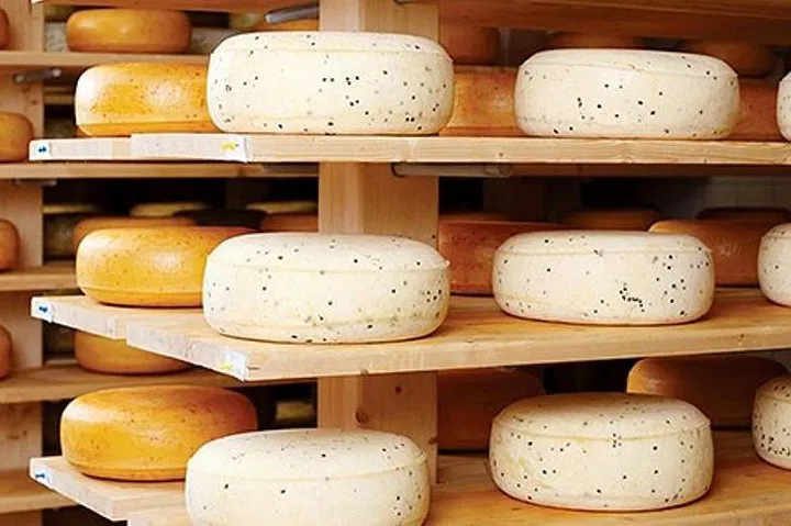 Ensenada's Ojos Negros Valley: A Wine & Cheese Dream