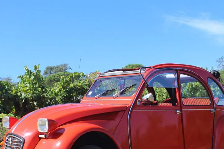 Saint-Tropez Vineyard Tour in a Classic 2CV!