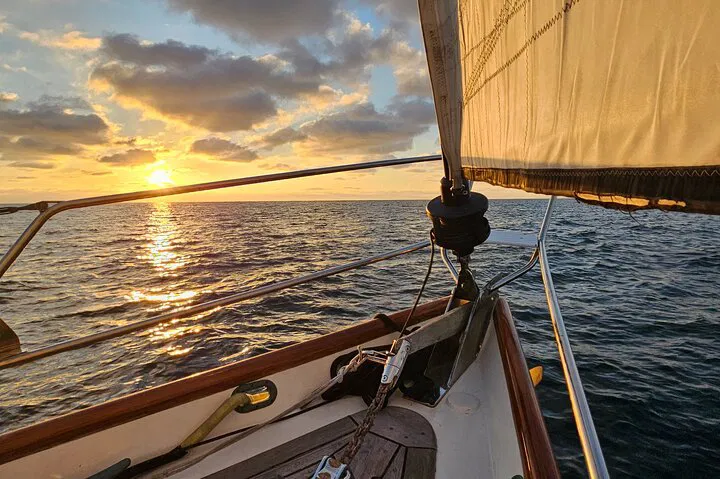 Oceanside Sailing Adventure: Whales, Dolphins & Coastal Views!
