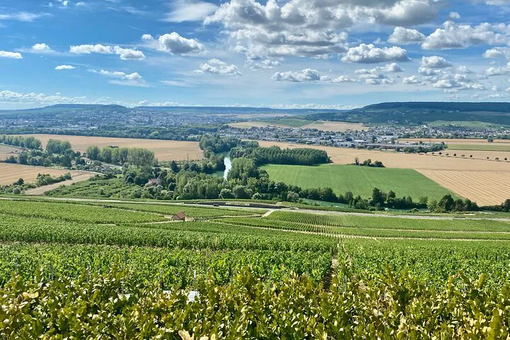Champagne Boizel: A Luxurious Private Champagne Day Trip from Paris