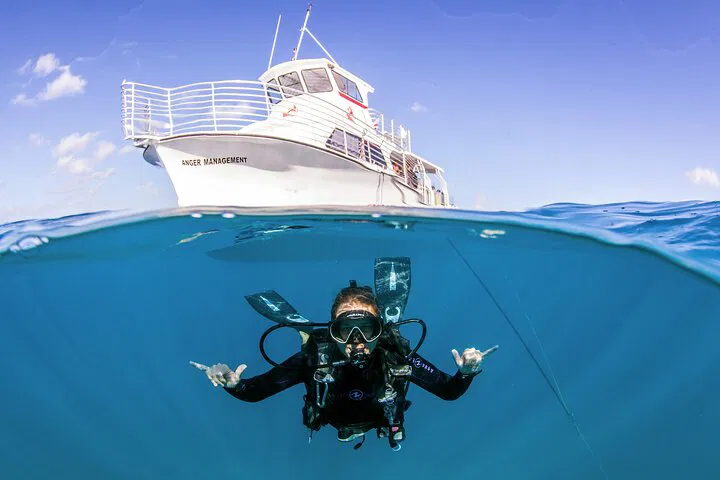 Honolulu Scuba Dive: Discover Hawaii's Reefs!