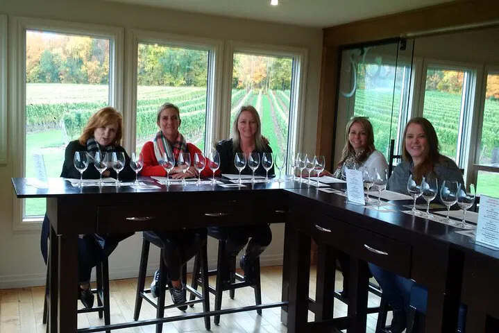 Niagara Falls & Wine Tour: A Luxurious Day of Wonders & Wine