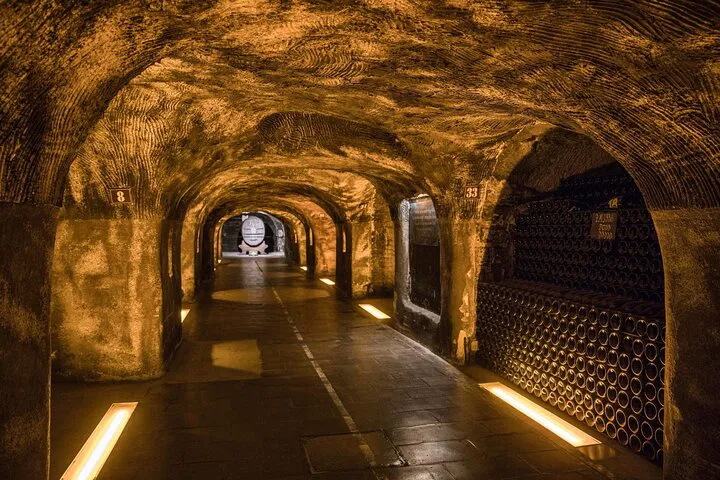 Champagne & Reims Private Day Trip from Paris