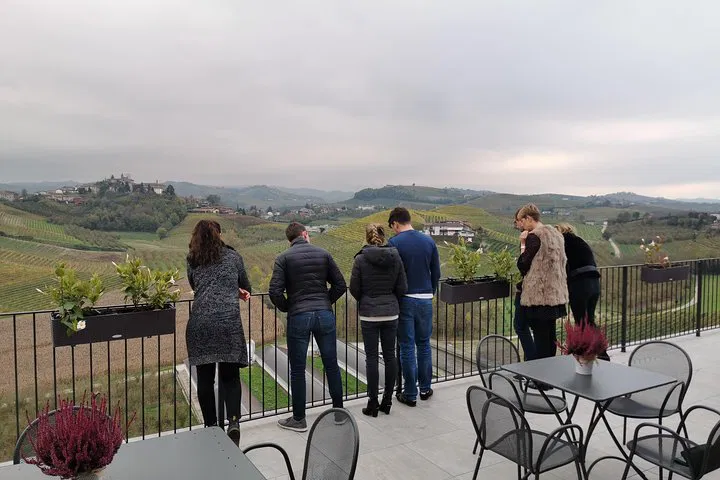 Barolo & Barbaresco Wine Tour: Taste Piedmont with a Winemaker