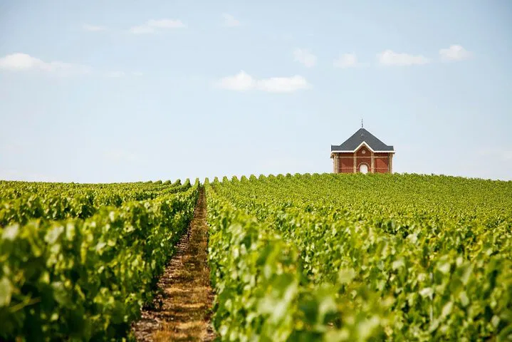 Champagne Dreams: A Luxurious Private Winery Tour from Paris