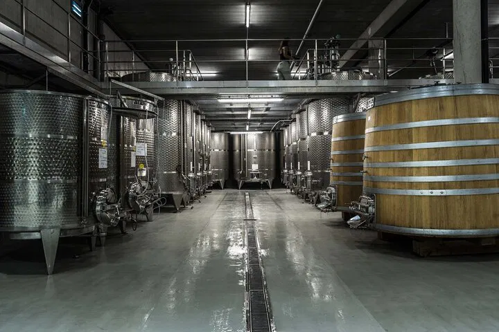 Unveiling Terroir: An Immersive Wine Estate Exploration in Avignon
