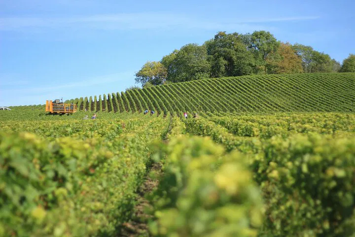 Paris ➡️ Reims/Epernay Private Transfer: Luxury Ride!