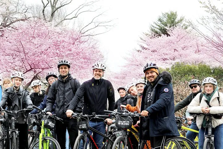Pedal Through Spring: DC Cherry Blossoms Bike Tour