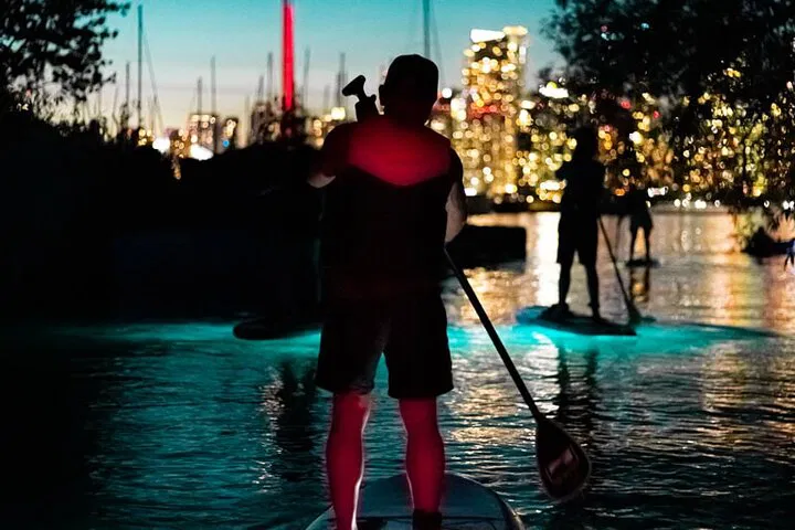 Toronto's Sunset Safari: Paddle into Skyline Views!
