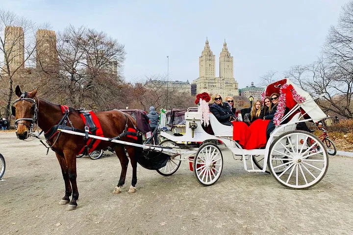 Enchanting Central Park: A VIP Carriage Ride Through Timeless Beauty