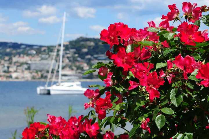Cannes Shore Excursion: Perfume, Art & Medieval Charm