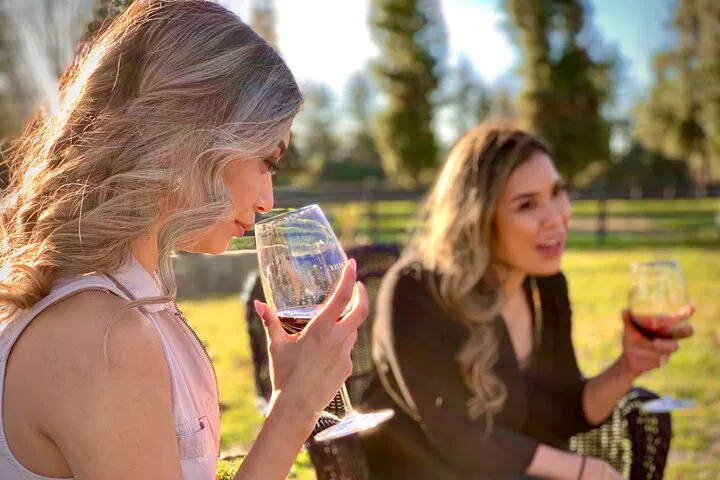 Unveiling Santa Barbara's Hidden Wineries: An Exclusive Small-Group Wine Tour