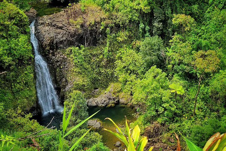 Unveiling Maui's Hidden Gems: A Private Hana Adventure