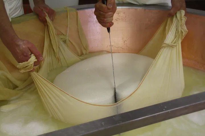 Pedal Through Paradise: Parma's Cheese & Culinary Bike Tour