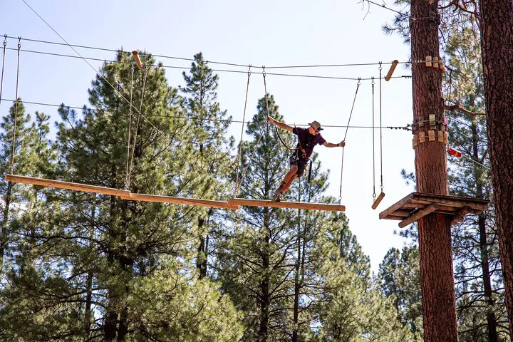 Conquer the Canopy: Ledgewood's Ultimate Tree-Top Adventure!