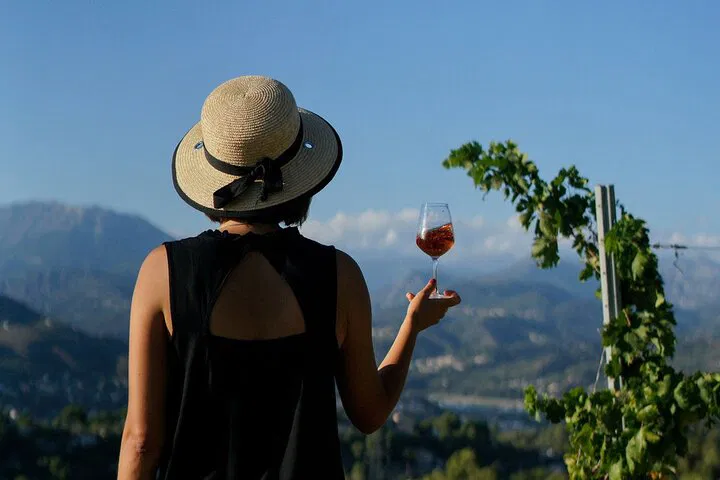 Nice Vineyard Tour: Wine Tasting with Sommelier