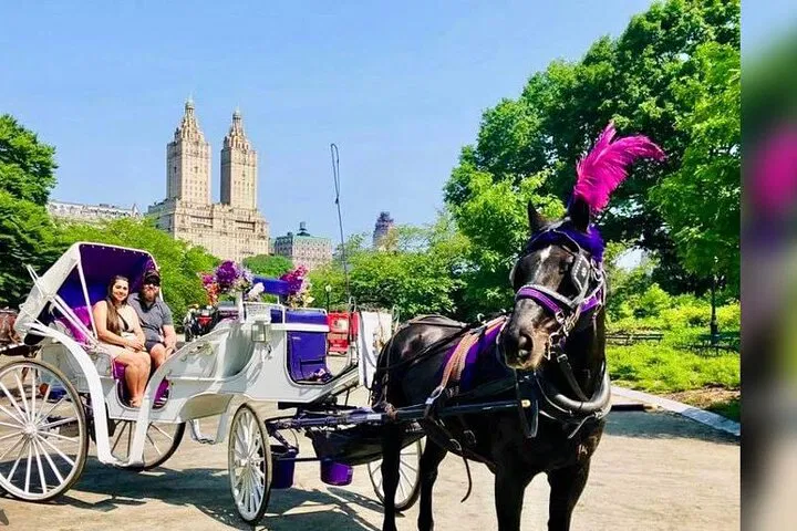 Central Park Pedicab Tour: Explore NYC's Iconic Oasis in Style