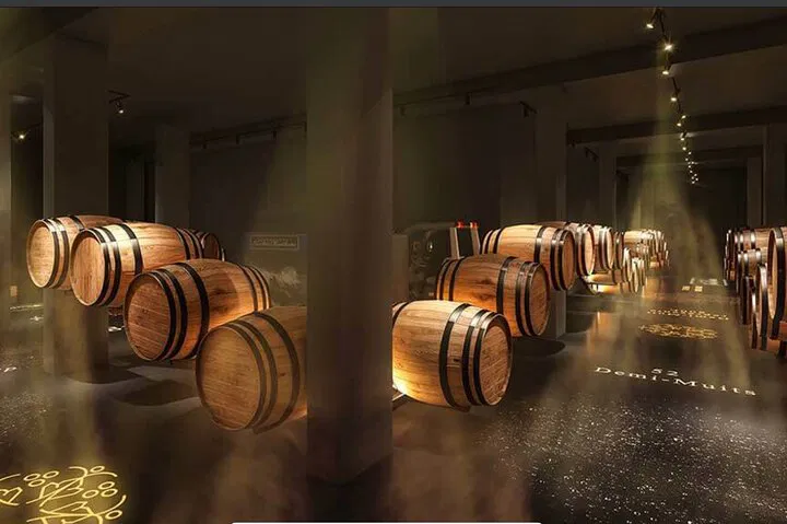Paris: Private Champagne Tour with Moët & Chandon Visit