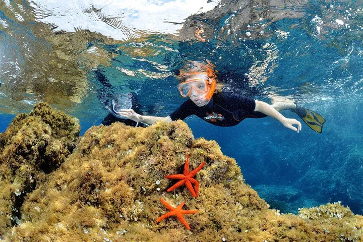 Cannes Snorkeling Boat Tour: Explore Marine Life!