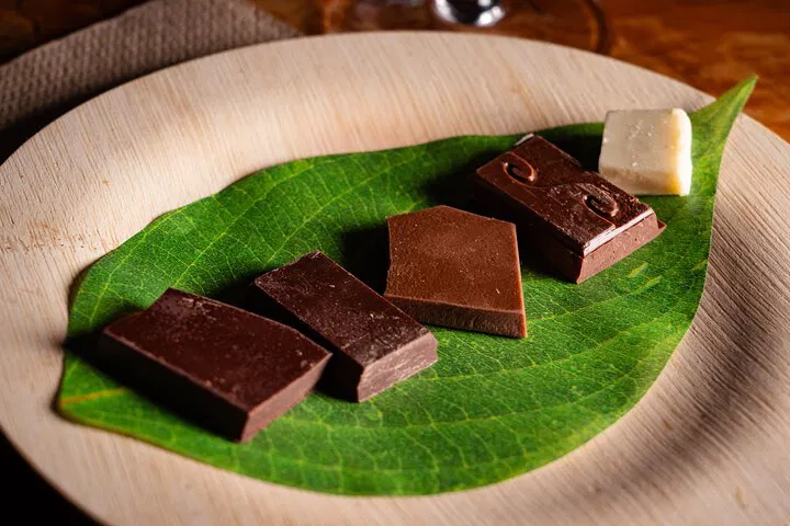 River-Sea Chocolate Discovery: A Bean-to-Bar Tasting Journey